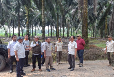 Monev Lapangan FPKMS 2026, BPN Mesuji Pastikan Program Tepat Sasaran