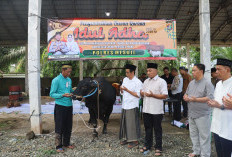 Polres Mesuji Sembelih 6 Sapi dan 13 Kambing di Hari Raya Idul Adha 1447 H