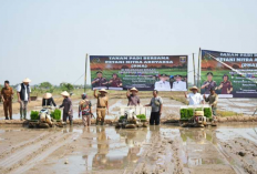 Gotong Royong Wujudkan Asta Cita, Pemkot Metro dan Kejati Lampung Tanam Padi di Sumbersari