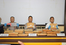 Satres Narkoba Polres Pringsewu Gagalkan Peredaran Ganja 24 Kg di Lampung