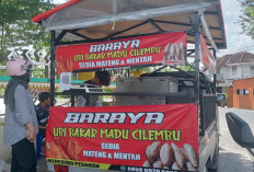 Dari Garut ke Metro, Mimar Sukses Bangun Bisnis Ubi Cilembu Khas Sumedang