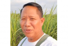 Petani Tebu Lega, Rekening PT PSMI Sudah Bisa Dipakai Lagi