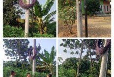 Belum Kantongi Izin, Proyek Infrastruktur WiFi di Nunggal Rejo Distop