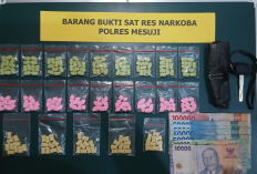 Polisi Gerebek Sarang Narkoba di Mesuji Timur, Sita 230 Pil Ekstasi dan Sabu 24,86 Gram