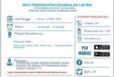 PLN Jadwalkan Pemadaman Listrik di Lampung Timur, Cek Wilayahmu!