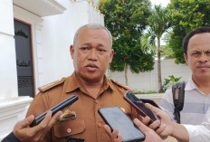 Curah Hujan Tinggi, Puluhan Hektar Lahan Sawah Petani Metro Tergenang Air