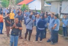 PHK Sepihak, Ratusan Tenaga Honorer di Kota Metro Demo Tuntut Keadilan
