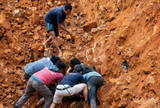 Longsor Tambang PT KDI Tewaskan 4 Pekerja, HAMI Sultra Desak ESDM dan Kemnaker Bertindak