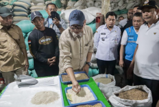 Penjualan Kendaraan Niaga Lampung Januari-September 2026 Naik