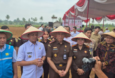 Dukung Ketahanan Pangan, Kejati Lampung Luncurkan Program PMA dan UmA di Pringsewu