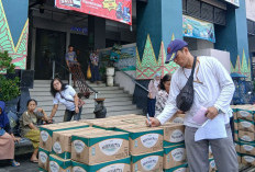 Distribusi Minyakita Tembus 2,6 Juta Liter, BULOG DIY Jamin Stok Aman Jelang Idul Adha 2026