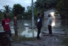 Banjir Rendam Dua Desa di Mesuji, Camat Ferry Antoni Turun Langsung Tinjau Warga