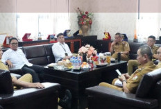 Audiensi dengan BPKP, Bupati Tubaba Beberkan Strategi Percepatan Pembangunan Daerah