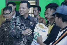 33.876 Warga Pringsewu Terima Bantuan Pangan, Bupati Riyanto Pamungkas Pastikan Penyaluran Tepat Sasaran