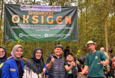 Shodaqoh Oksigen, PKC PMII Lampung Bersama Cabang Se-Lampung Tanam 5.000 Bibit Mangrove di Pematang Pasir