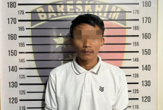 Sopir di Pringsewu Gelapkan Uang Setoran Rp50,4 Juta Hasil Penjualan Ayam