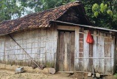 Sembilan Tahun Hidup Sendiri, Serorang Nenek di Panaragan Tinggal di Rumah Hampir Roboh