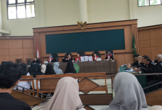 11 Pengasuh Jadi Terdakwa, Ini Dugaan Perlakuan Salah dan Penelantaran Anak di Daycare Little Aresha