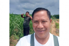 Petani Tebu di Way Kanan Desak Pembukaan Blokir Rekening PT PSMI