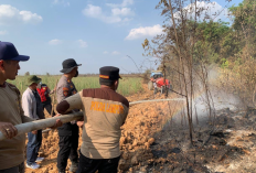 Lahan Tebu PT Silva Inhutani Terbakar, Kapolres Mesuji Pimpin Langsung Penyisiran dan Pemadaman