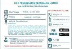 PLN Umumkan Pemadaman Bergilir di Sekampung, Cek Daftar Wilayah Lain!