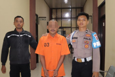 Pemuda Pekon Podomoro Ditangkap Polisi Usai Curi Ponsel Teman Saat Mabuk