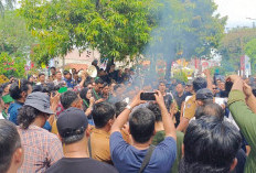 Janji Kampanye Walikota Disorot, Honorer dan Mahasiswa Gelar Aksi Unjuk Rasa