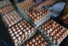 Jelang Idul Adha, Harga Sembako di Pasar Purbolinggo Terpantau Masih Stabil