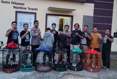 Demi Uang Jajan, Dua Pelajar SMA Nekat Curi Burung Murai di Pardasuka