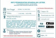 Jadwal Pemadaman Listrik Metro 16 Juni, Cek Wilayah yang Terdampak?