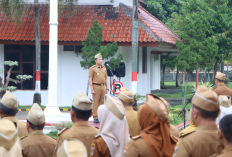 Bangun Integritas ASN, Sekda Lamteng Tekankan Pentingnya Kerja Tim