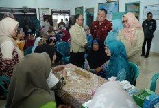 Monitoring Program ‘TUBABA Q SEHAT’: Ketua TP-PKK Tubaba Sambangi 16 Tiyuh