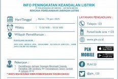Pemeliharaan Jaringan, PLN Lakukan Pemadaman Sementara di Wilayah Metro Kibang dan Sekitarnya