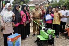 Dukung Produktivitas Petani, Wali Kota Metro Serahkan Bantuan Alsintan ke Gapoktan