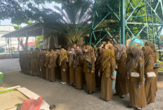 Tak Masuk Usulan PPPK Paruh Waktu, Ratusan Tenaga BLUD Metro Merasa Kecewa
