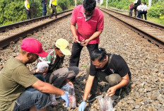 Insiden Tertemper KA Gajayana Tambahan, KAI Daop 6 Yogyakarta Imbau Warga Jauhi Rel