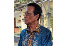 Langkah Tegas Sri Sultan HB X, Daycare Ilegal di Yogyakarta Ditertibkan