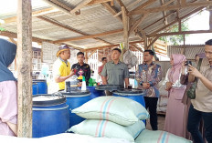 Usulkan Bantuan ke Pusat, Pemkot Metro Gencar Dorong Produksi Susu Etawa