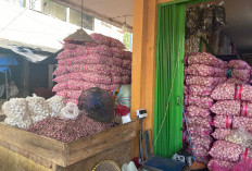 Stabil di Kisaran Rp29–35 Ribu, Pedagang di Metro Keluhkan Sepi Pembeli