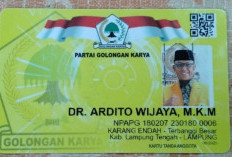 Manuver Politik Ardito Wijaya Menuju Kursi DPD Golkar