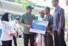 Gubernur Lampung Perkuat Lumbung Pangan Mesuji Lewat Bantuan Bed Dryer
